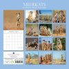 Meerkats – 2024 Square Wall Calendar Pets Animals 16 Months Premium Planner Gift