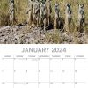 Meerkats – 2024 Square Wall Calendar Pets Animals 16 Months Premium Planner Gift