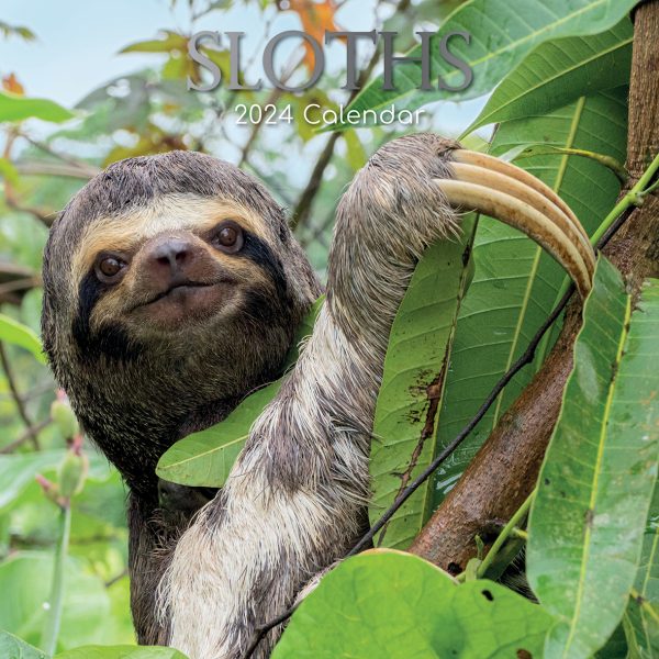 Sloths – 2024 Square Wall Calendar Pets Animals 16 Months New Year Gift Planner