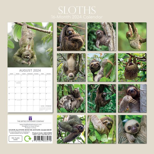 Sloths – 2024 Square Wall Calendar Pets Animals 16 Months New Year Gift Planner