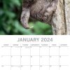 Sloths – 2024 Square Wall Calendar Pets Animals 16 Months New Year Gift Planner