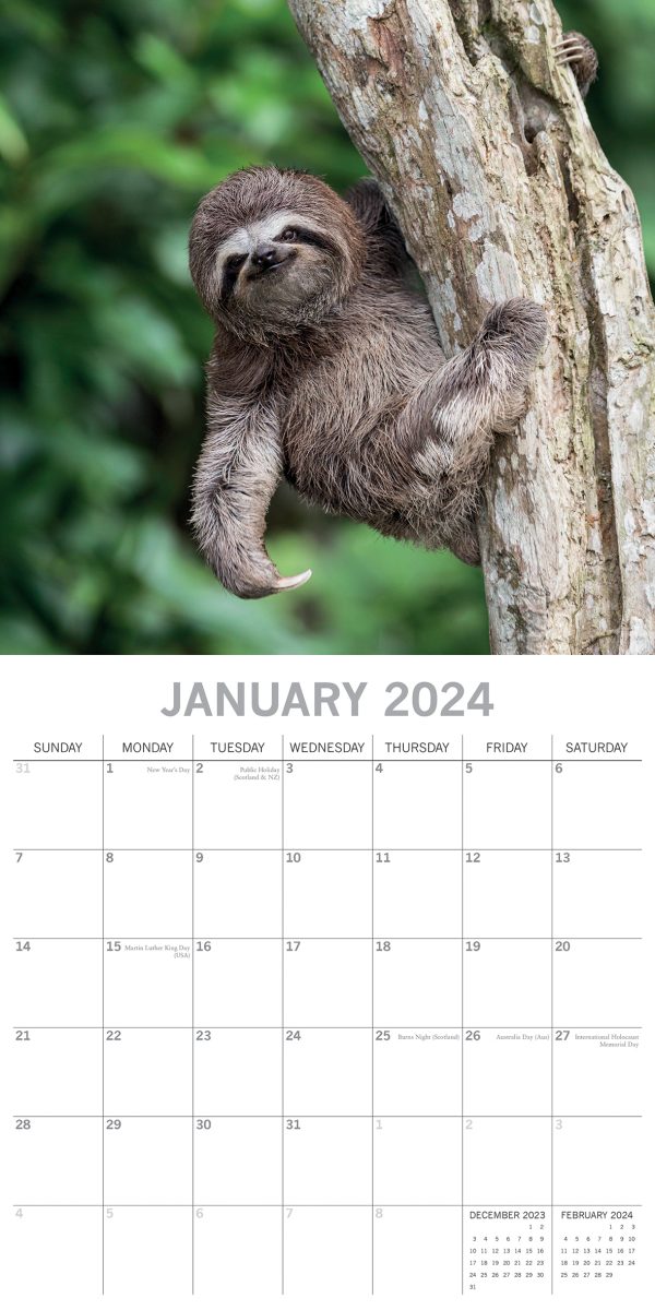 Sloths – 2024 Square Wall Calendar Pets Animals 16 Months New Year Gift Planner