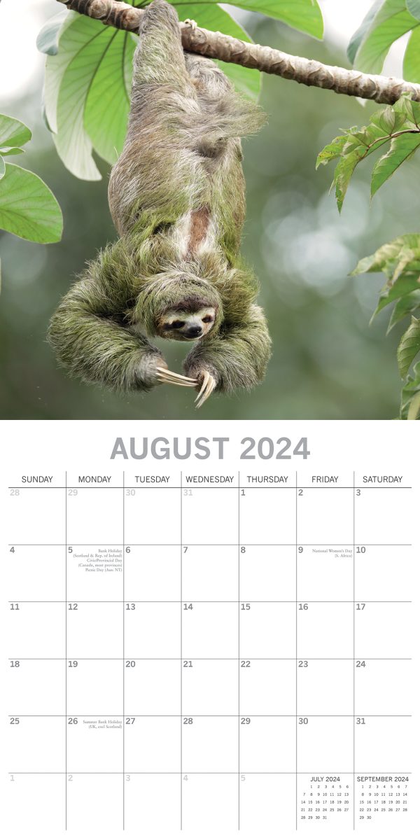 Sloths – 2024 Square Wall Calendar Pets Animals 16 Months New Year Gift Planner