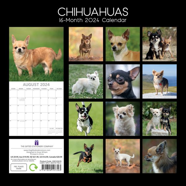 Chihuahuas 2024 Square Wall Calendar Pets Dog 16 Months Premium Planner New Year