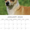 Chihuahuas 2024 Square Wall Calendar Pets Dog 16 Months Premium Planner New Year