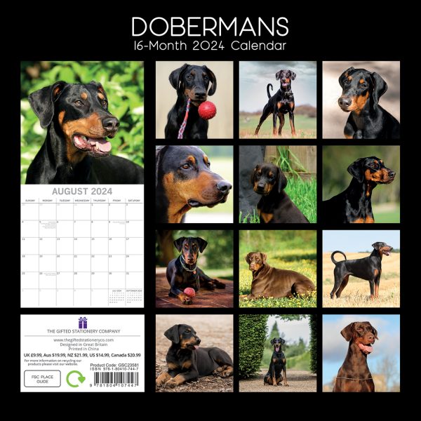 Dobermans – 2024 Square Wall Calendar Pets Dog 16 Month Premium Planner New Year