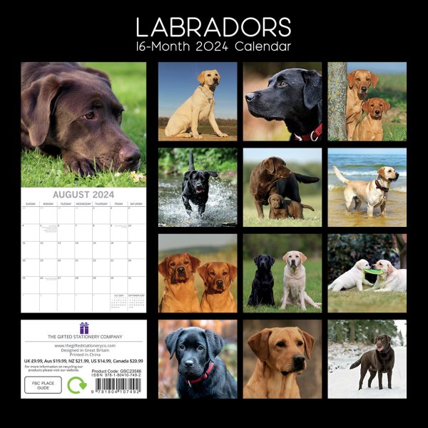 Labradors 2024 Square Wall Calendar Pets Dog 16 Months Premium Planner New Year