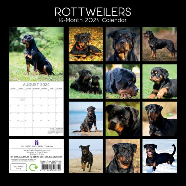 Rottweilers 2024 Square Wall Calendar Pets Dog 16 Month Premium Planner New Year