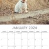 West Highland White Terriers 2024 Square Wall Calendar Pets Dog 16 Month Planner