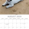 West Highland White Terriers 2024 Square Wall Calendar Pets Dog 16 Month Planner