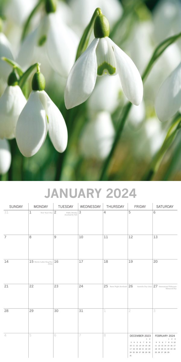 Beauty of Flowers 2024 Square Wall Calendar 16Month Floral Planner New Year Gift