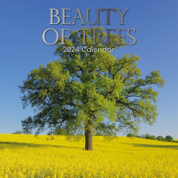 Beauty of Trees 2024 Square Wall Calendar 16 Month Floral Planner Christmas Gift