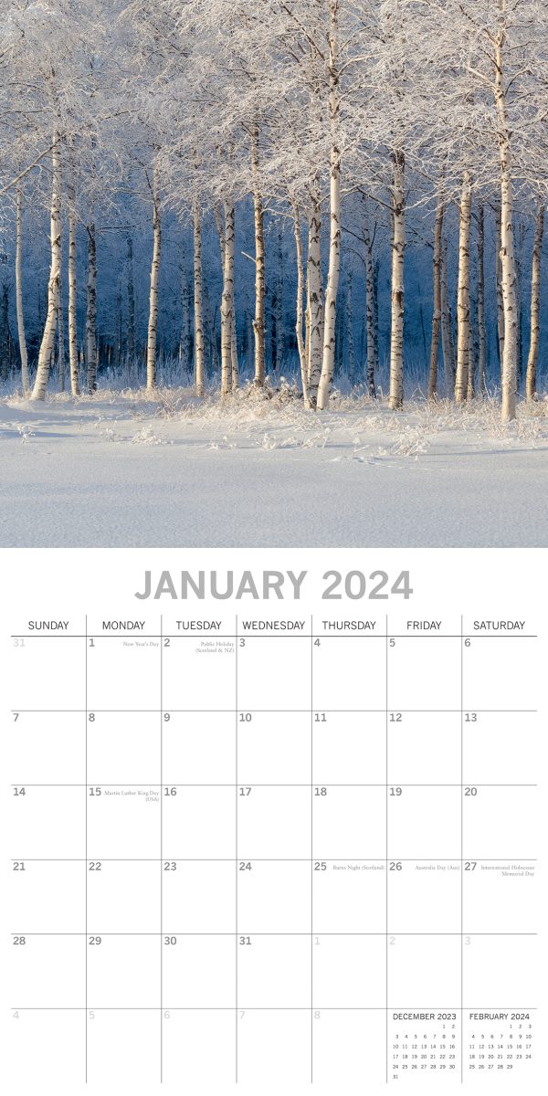 Beauty of Trees 2024 Square Wall Calendar 16 Month Floral Planner Christmas Gift