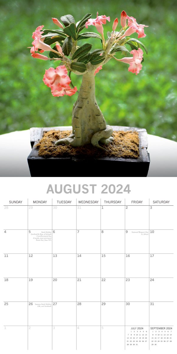 Bonsai 2024 Square Wall Calendar 16 Month Floral Planner Christmas New Year Gift