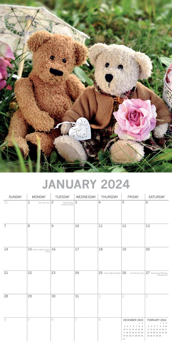 Teddy Bears – 2024 Square Wall Calendar 16 Month Lifestyle Planner New Year Gift