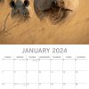 Safari 2024 Square Wall Calendar 16Month Premium Planner Christmas New Year Gift