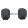 Commercial Rubber Hex Dumbbell Gym Weight – 10 KG