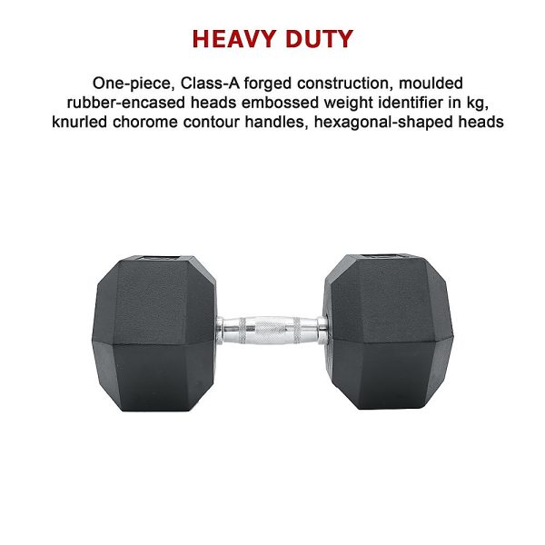 Commercial Rubber Hex Dumbbell Gym Weight – 10 KG