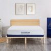 Plush Knitted Organic Cotton Memory Foam Mattress Queen