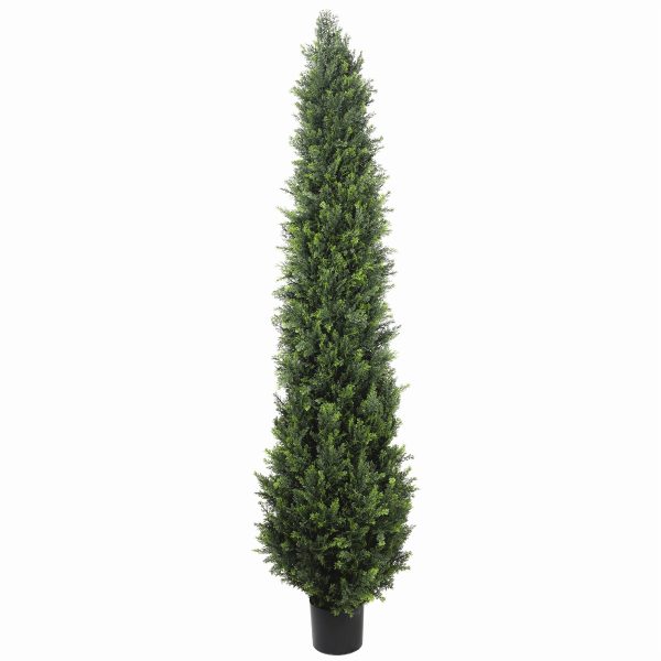 UV Resistant Cypress Pine Tree – 1.8 M