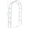 Garden Arch 2 pcs Climbing Plants