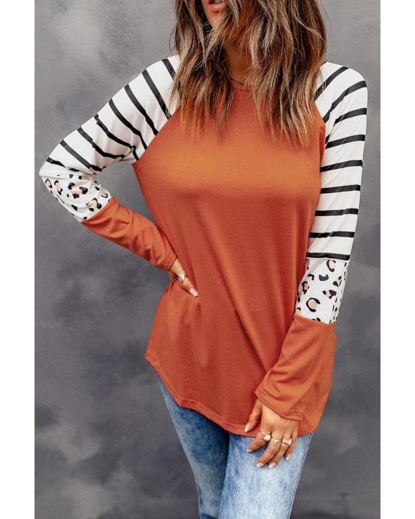 Azura Exchange Animal Print Long Sleeve Top with Striped Colorblock – L