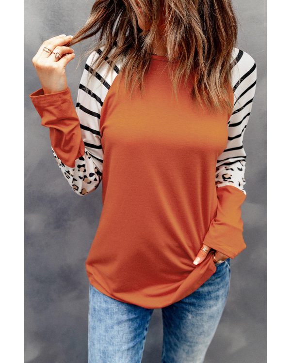 Azura Exchange Animal Print Long Sleeve Top with Striped Colorblock – L