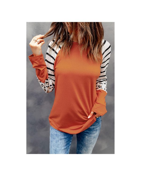 Azura Exchange Animal Print Long Sleeve Top with Striped Colorblock – L