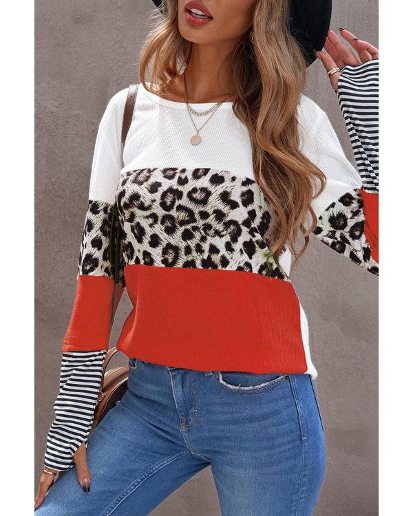 Azura Exchange Leopard Colorblock Long Sleeve Top – M