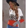 Azura Exchange Leopard Colorblock Long Sleeve Top – M