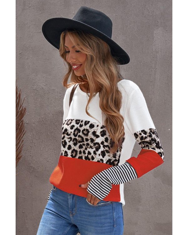 Azura Exchange Leopard Colorblock Long Sleeve Top – M