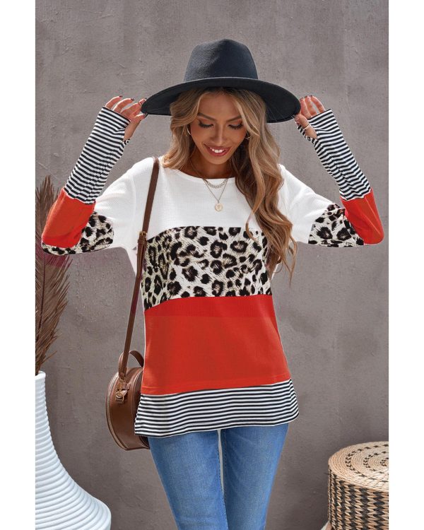 Azura Exchange Leopard Colorblock Long Sleeve Top – M