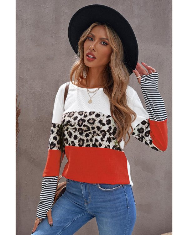 Azura Exchange Leopard Colorblock Long Sleeve Top – M