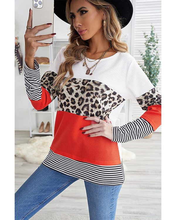 Azura Exchange Leopard Colorblock Long Sleeve Top – M