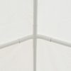 Party Tent PE 6×16 m White