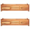 Garden Raised Beds 2 pcs Acacia Wood 100x30x25 cm