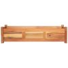 Garden Raised Beds 2 pcs Acacia Wood 100x30x25 cm